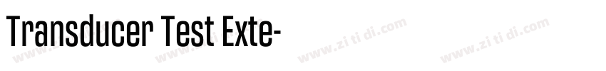 Transducer Test Exte字体转换